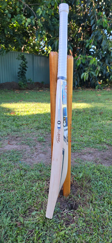 SS TON Players Pro Finn Allen SH English Willow Cricket Bat